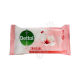 Dettol-Skin-Care-Anti-Bacterial-Skin-Wipes.jpg